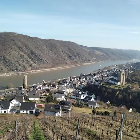 100 Stufen über Dem Rhein Apartamento *