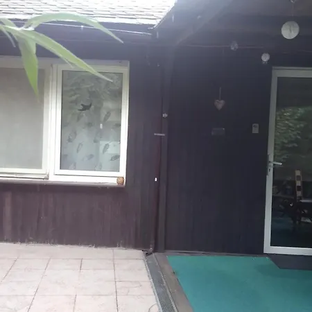 100 Stufen Ueber Dem Rhein