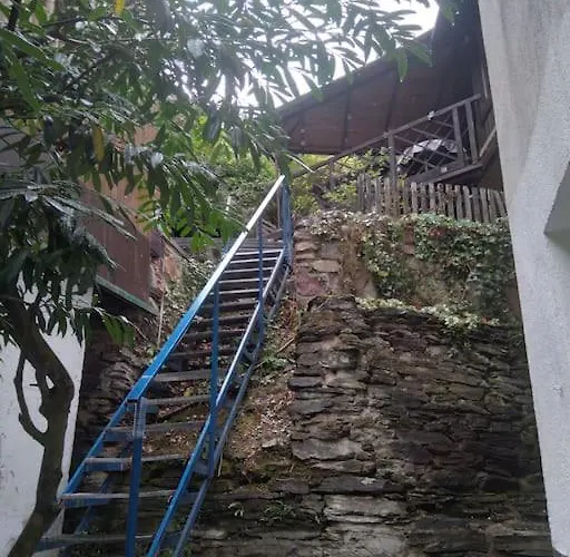 100 Stufen Ueber Dem Rhein *