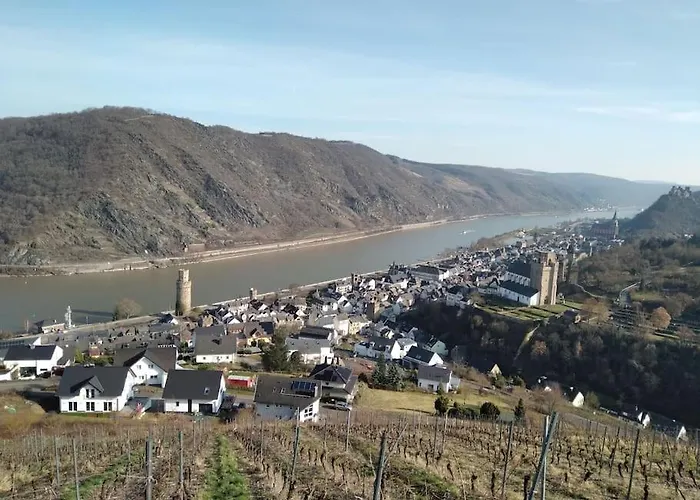 100 Stufen Ueber Dem Rhein Daire *