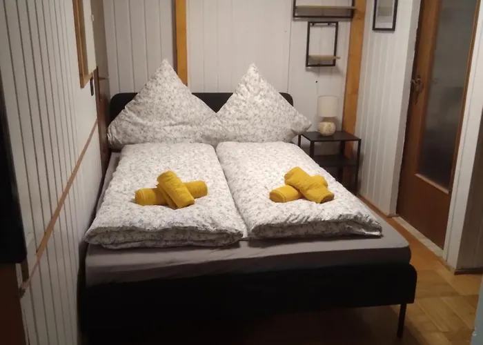 100 Stufen Ueber Dem Rhein *